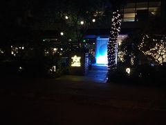 -T館·花园艺术餐厅