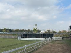 -上海山野camping·户外天幕烧烤·团建拓展营地