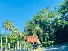 -亚龙湾热带天堂森林公园