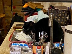 -萌喵咖啡屋(人民东路4号口M16商铺店)