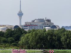 -莲花池公园