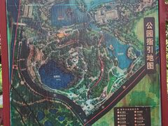 -王借岗森林公园