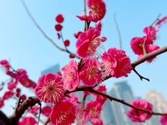 -西北湖绿化广场