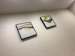 -贞禾医美·连锁