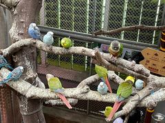 -正佳雨林生态植物园