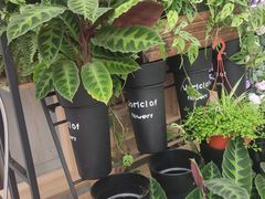 -FEI FEI FLOWER鲜花店·气球派对·宝宝宴布置(虹口德必运动Loft店)