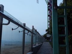 -巨鹏飞梦幻海岸