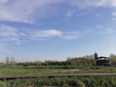 -永定河休闲森林公园