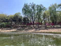 -大兴滨河森林公园