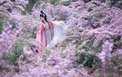 -九月鹰飞汉服摄影工作室
