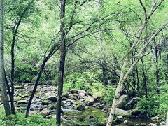 -玉渡山自然风景区