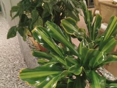 -相遇·川湘融合菜(金坛吾悦广场店)