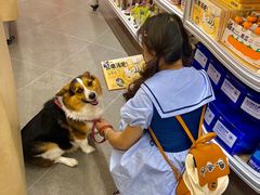 -帕帕拉兹宠物(亚洲旗舰店)