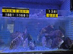 -德兴show鲜·蒸汽海鲜火锅餐厅(格创悦里店)