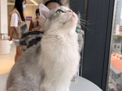 -怪兽屋·羊驼·猫咖·狗咖(俊华广场店)