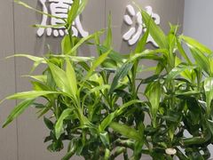 -田凤波推拿.按摩养生(幸福店)