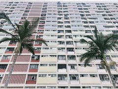 -彩虹村