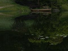 -云溪植物园