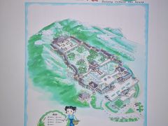 -大唐贡茶院
