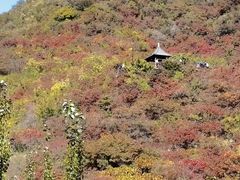 -周口店坡峰岭风景区