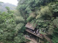 -莫干山风景区