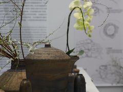 -深圳会展中心