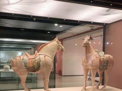 -西安大唐西市博物馆