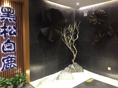 -黑松白鹿(金融街店)