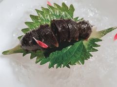 -觀芷隐轩