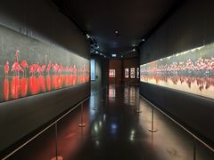 -罗红摄影艺术馆