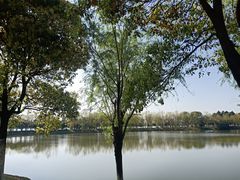 -艾溪湖湿地公园