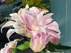 -南堂馆·新川菜(春熙路店)