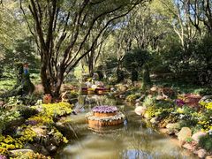 -上海共青森林公园