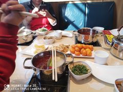 -蜀国传情火锅(大柳塔店)