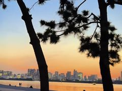 -台场海滨公园船码头