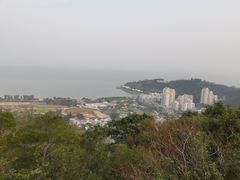 -石排湾郊野公园