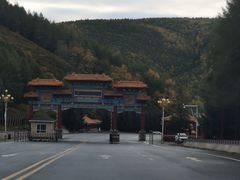 -塞罕坝国家级自然保护区