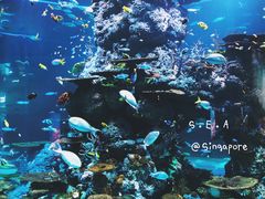-圣淘沙名胜世界