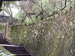 -青芝山风景名胜区