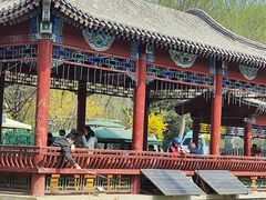 -尚庄度假村·庭台树下·户外烧烤·团建CS·轰趴营地(上庄水库店)