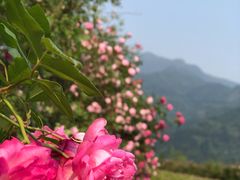 -太阳湾风景区
