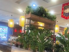 -大清花饺子(山庄店)