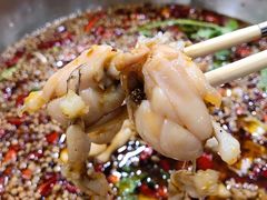 -渔香岛美蛙鱼头火锅(威清路店)