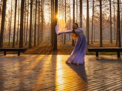 -黄海国家森林公园