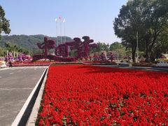 -东南花都花博园