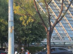-凤凰中心