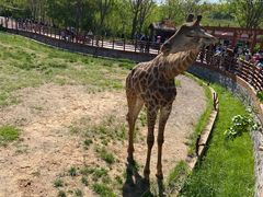 -济南野生动物世界