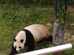 -沈阳森林动物园