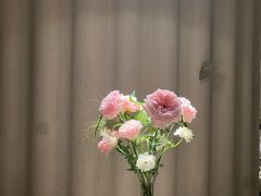 -Tomacado花厨(One ITC店)