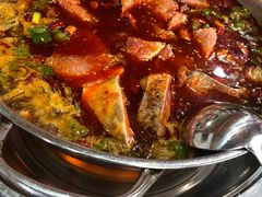 -韩妹鱼庄·泸定老字号(泸定店)